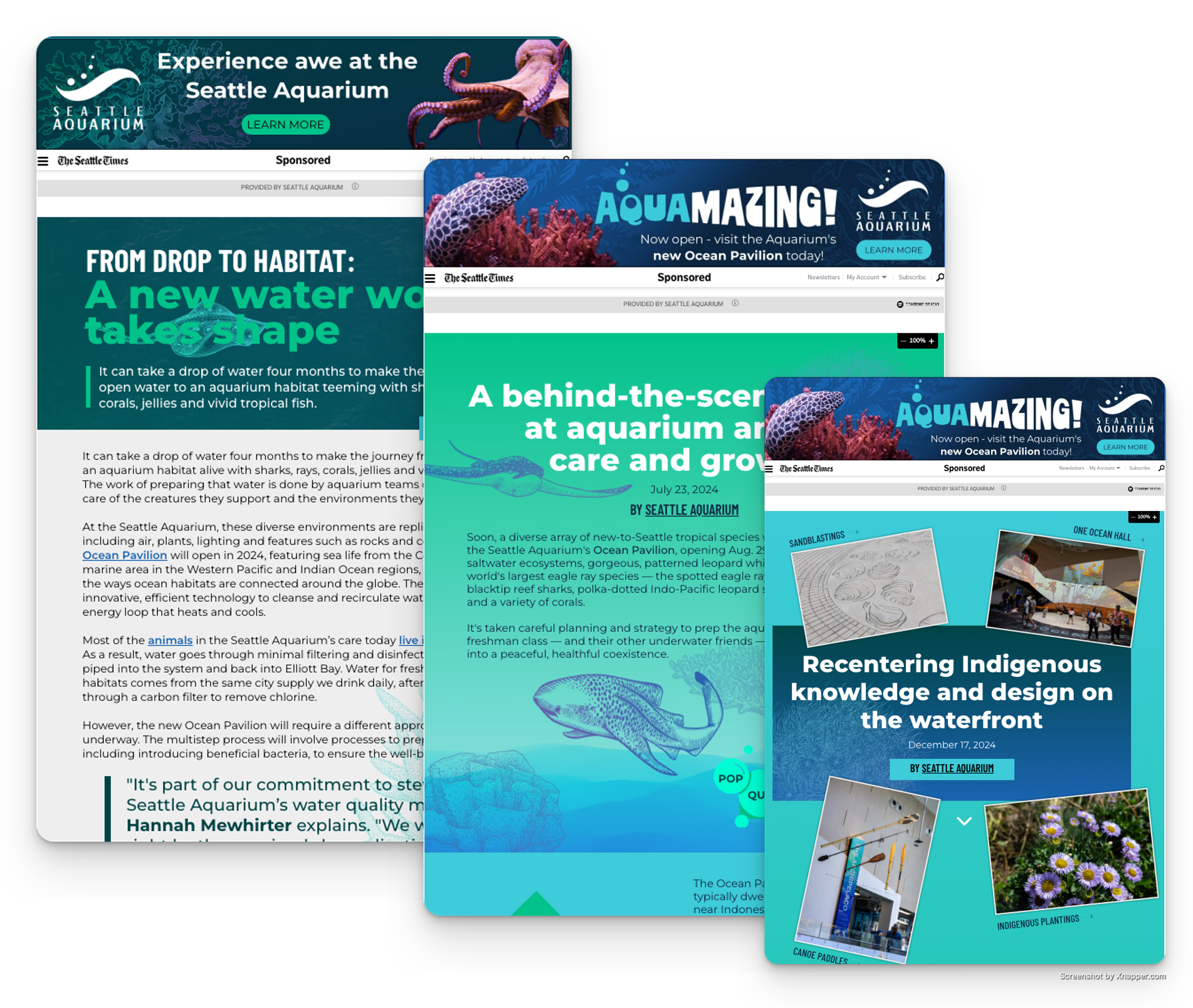 aquarium branded content example
